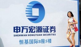 最新上市公司爆料网络,行业动态与公司业绩深度解析